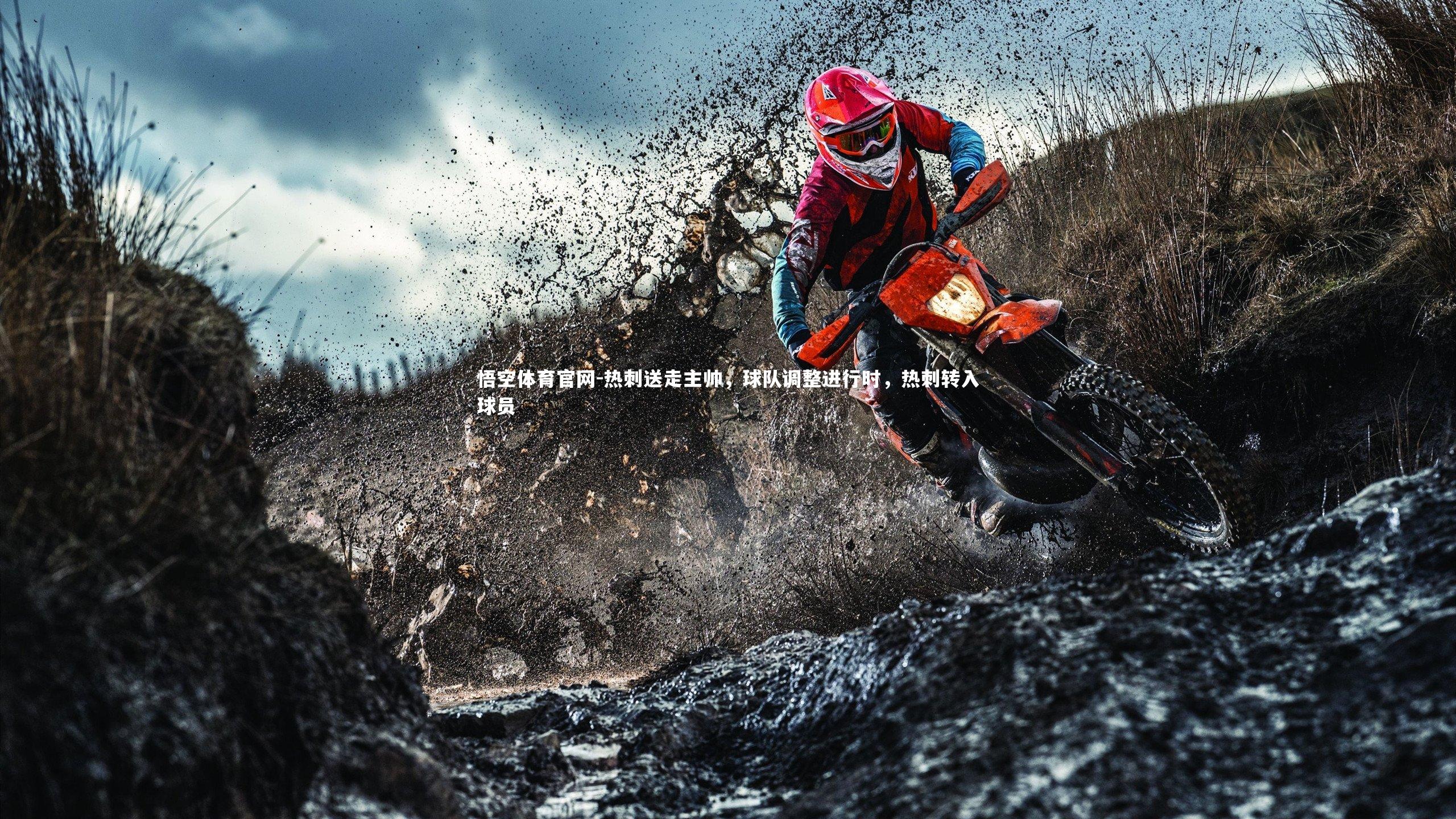 热刺送走主帅，球队调整进行时，热刺转入球员