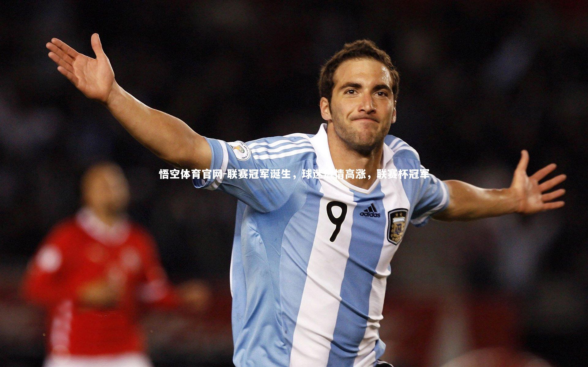 联赛冠军诞生，球迷热情高涨，联赛杯冠军