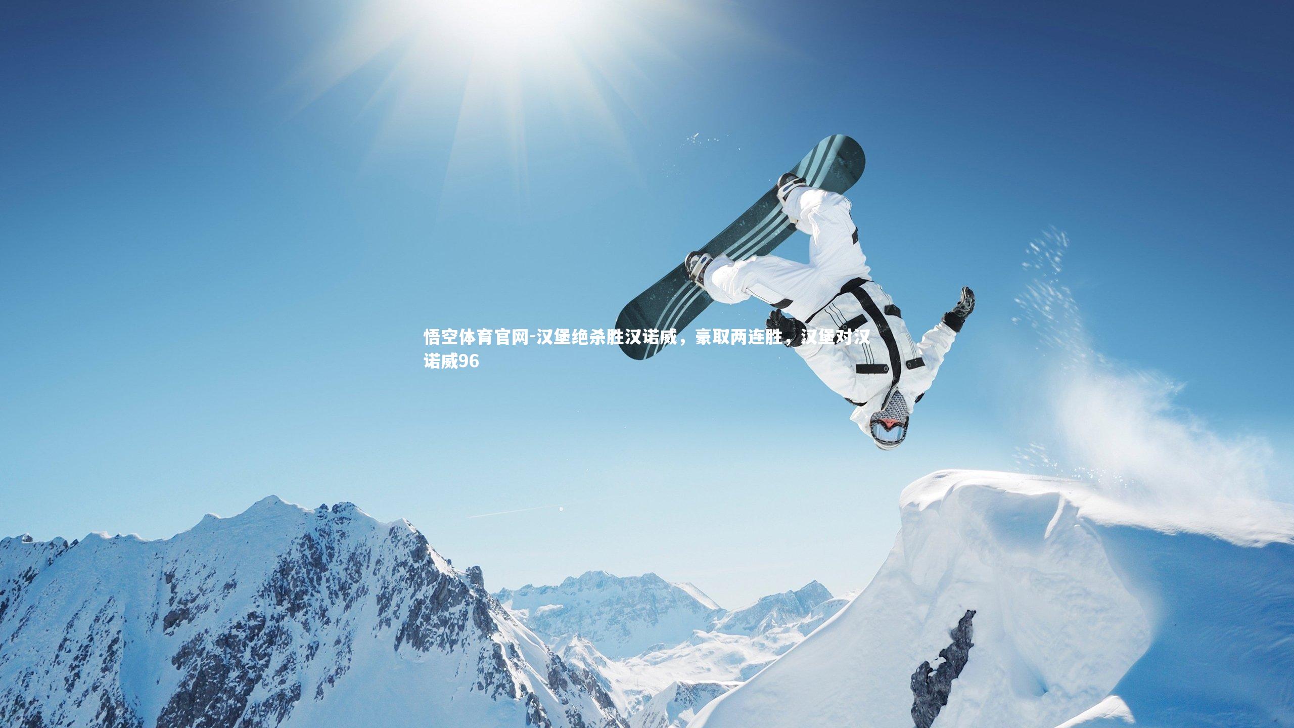 汉堡绝杀胜汉诺威，豪取两连胜，汉堡对汉诺威96