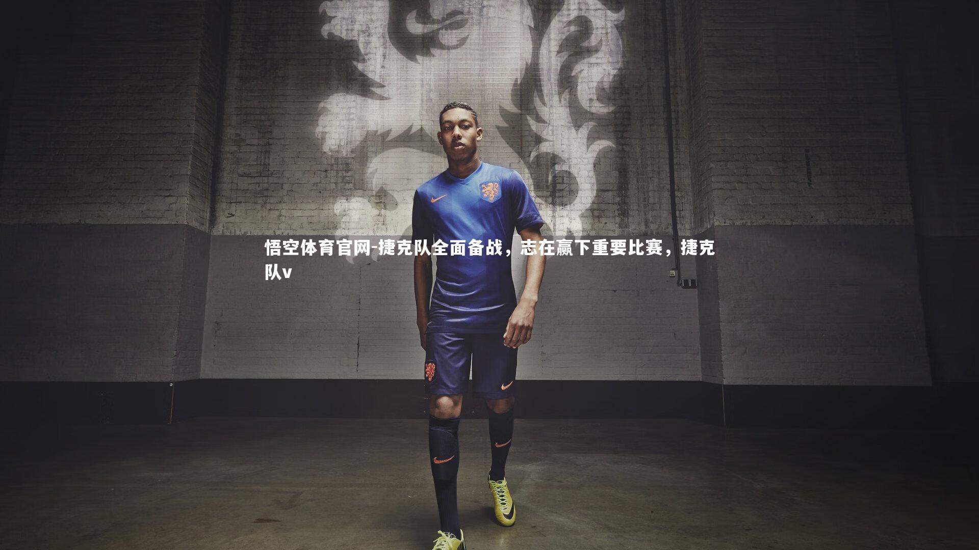 捷克队全面备战，志在赢下重要比赛，捷克队v