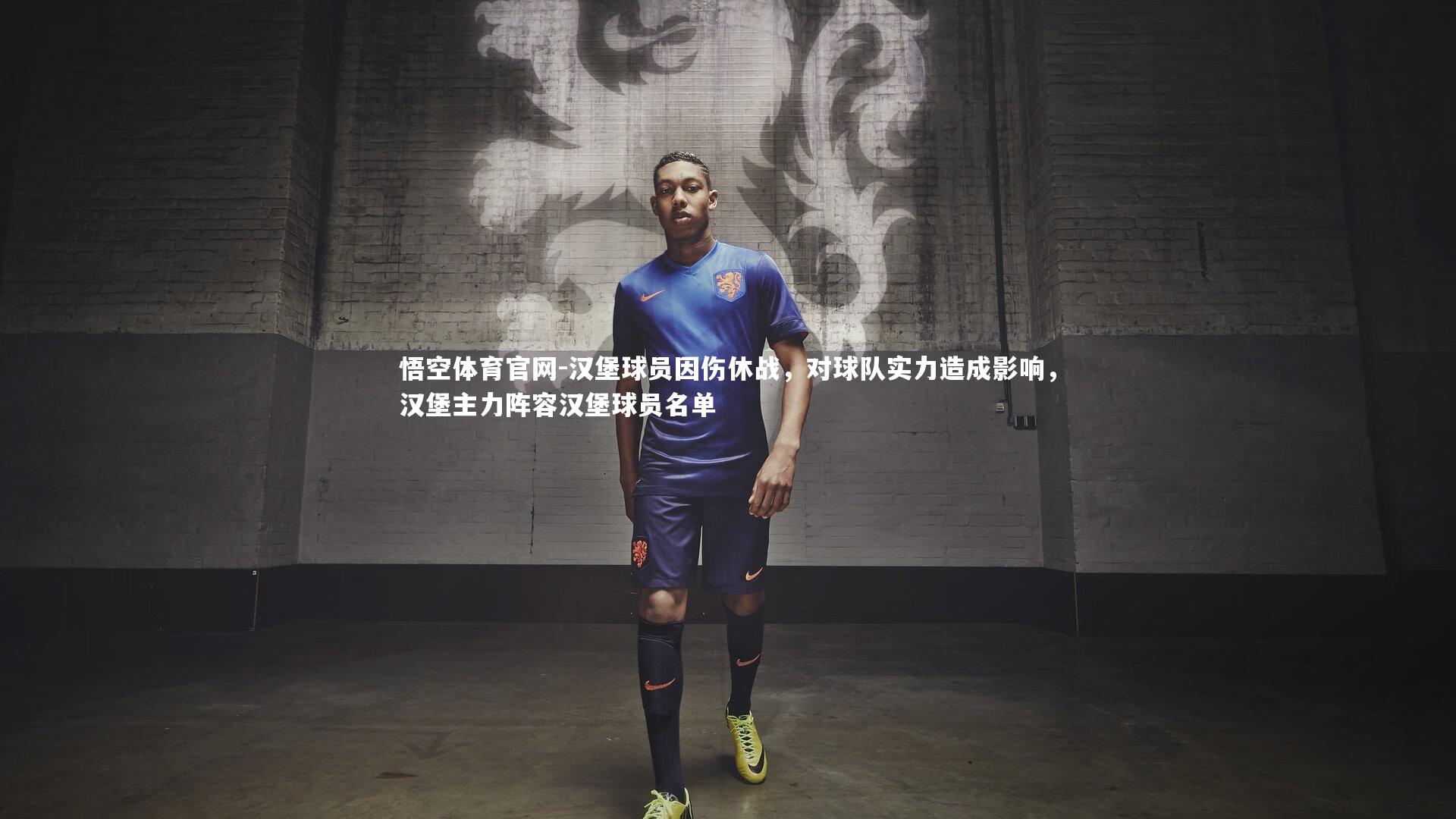 汉堡球员因伤休战，对球队实力造成影响，汉堡主力阵容汉堡球员名单