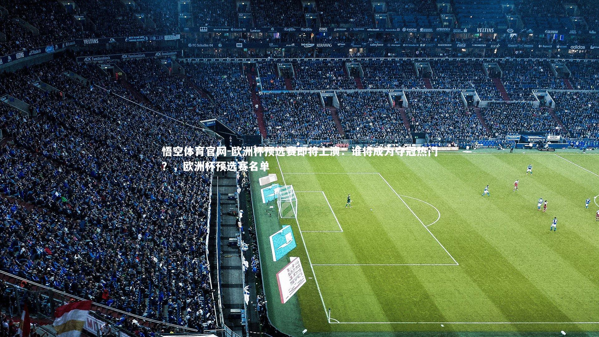 欧洲杯预选赛即将上演：谁将成为夺冠热门？，欧洲杯预选赛名单